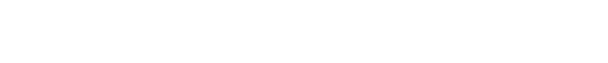 FlashIntelligence Logo